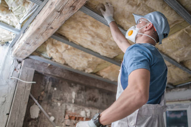 Best Attic Insulation Near Me  in Anderson, SC