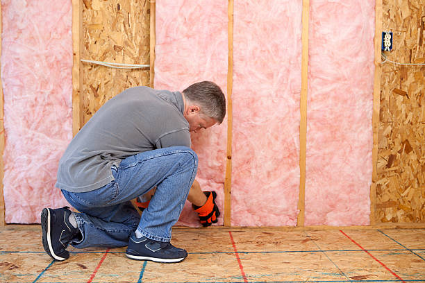 Best Affordable Insulation Services  in Anderson, SC