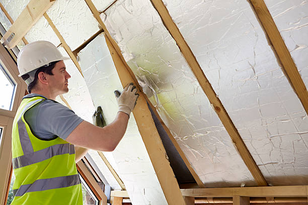 Best Best Insulation Companies  in Anderson, SC