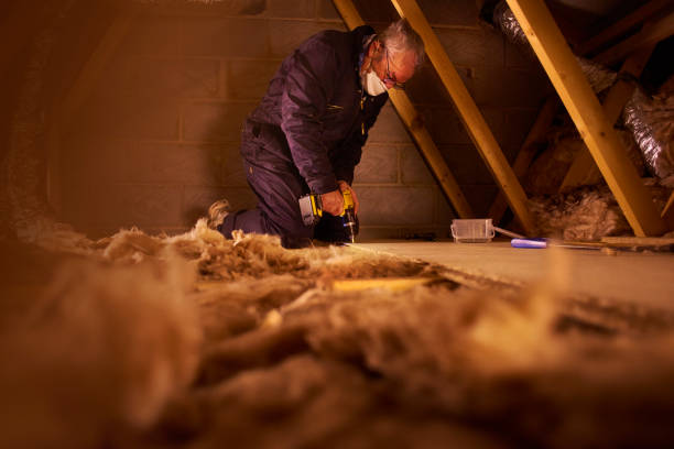 Best Insulation Replacement Services  in Anderson, SC