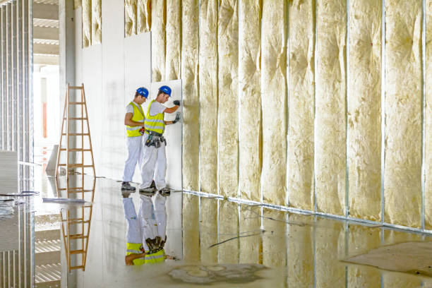 Best Insulation for New Construction  in Anderson, SC